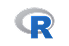 10 R Logo